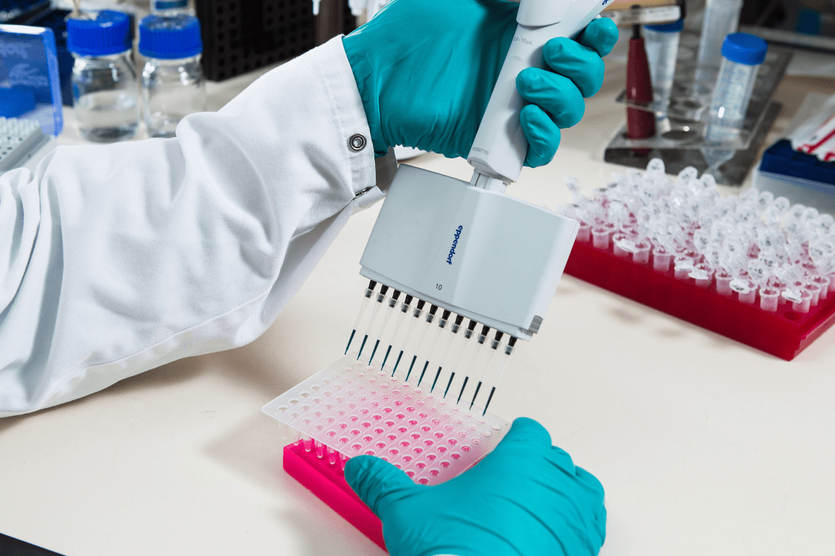 Pipetting a PCR plate